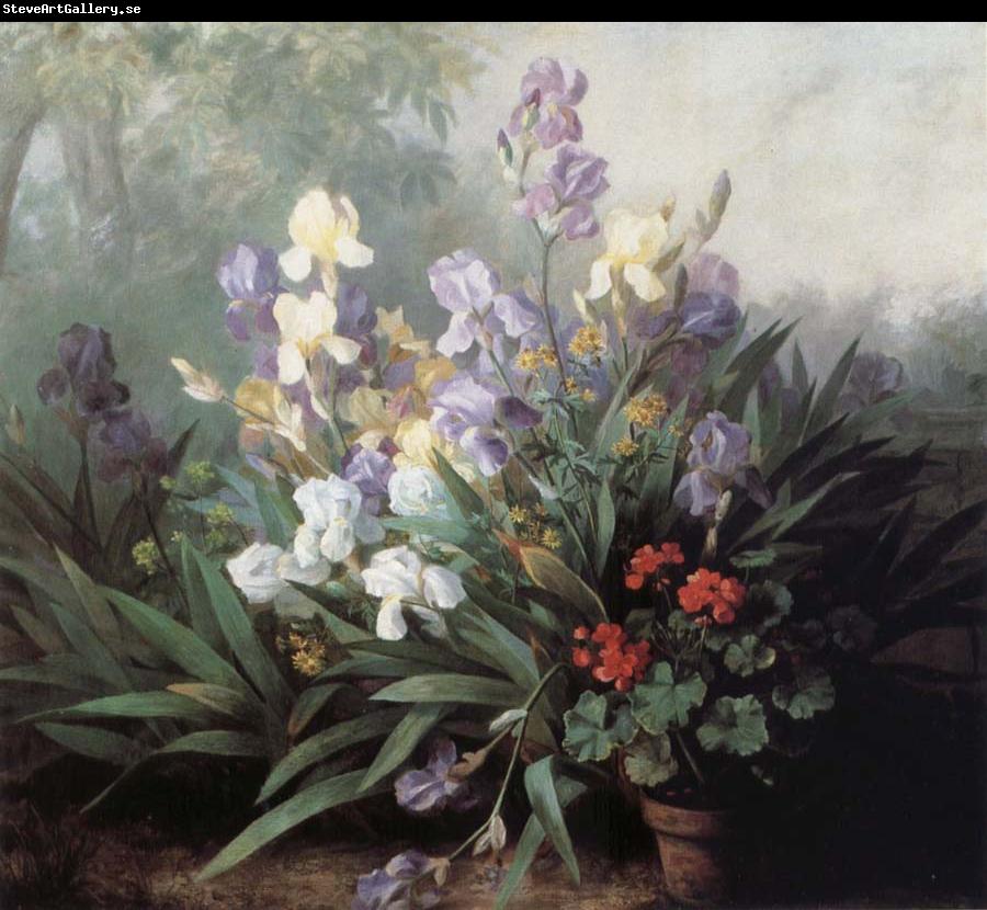 Barbara Bodichon Landscape with Irises